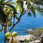 Primosten - Bilo Retreat By The Adriatic アパート