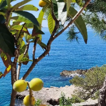 Primosten - Bilo Retreat By The Adriatic Apartment