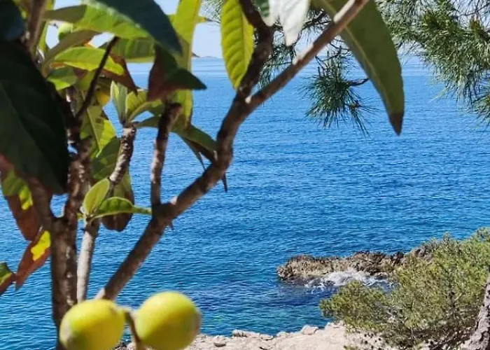 Primosten - Bilo Retreat By The Adriatic Lägenhet